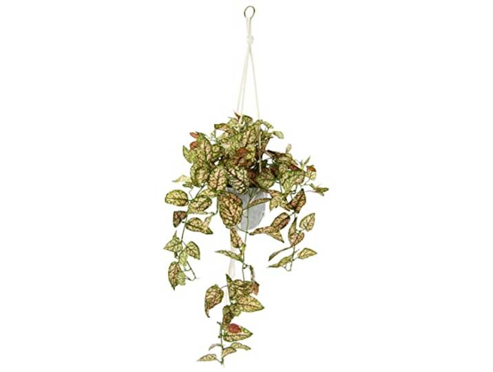 Künstliche Philo-Hängeampel mit Topf Kunstpflanze Ranke Girlande Grünpflanze Deko Pflanzenampel Grünpflanze Zimmerpflanze Kletterpflanze Efeuranke Efeu Blumenampel Topfpflanze Kunstblume, Fittonia