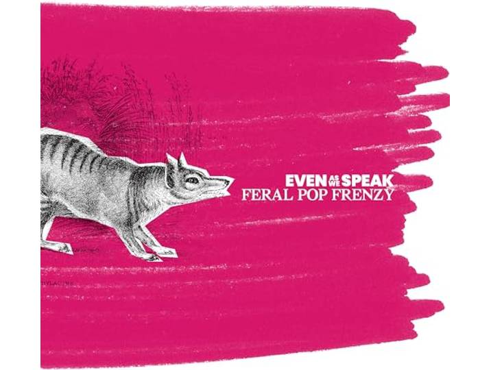FERAL POP FRENZY