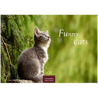 Funny Cats Kalender 2027 – Wandkalender | Fotokalender Tierkalender 35x50cm - Witziger Katzenkalender