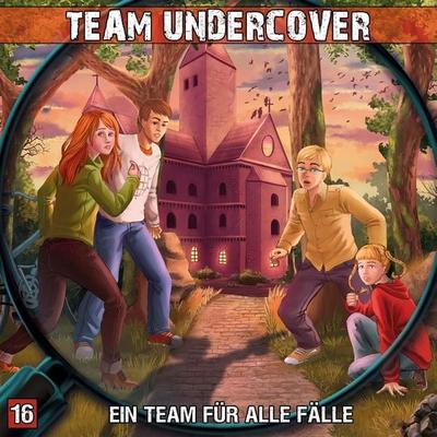 Ein Team für alle Fälle - Dominik Ahrens, Audio, 4260147777692