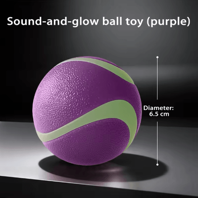 Inspire Picks HOOPET Glow Dog Toy Ball Durable Rubber Fetch Ball For Active Dogs & Puppies purple