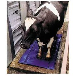 Shoof Klauendesinfektions- und -pflegematte, Tierhygiene