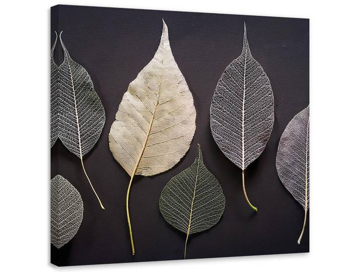 Feeby Leinwandbild Minimalismus hinterlässt Glamourpflanzen 50x50cm, Grau, Floral, Rechteckig, 50x50 cm, Bilder & Rahmen, Bilder, Leinwandbilder
