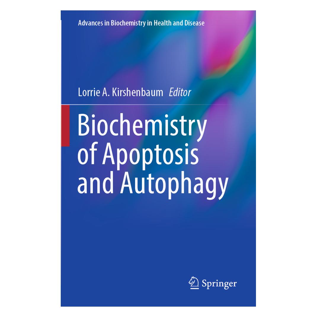 Springer Biochemistry of Apoptosis and Autophagy (Englisch, Softcover, Lorrie A. Kirshenbaum) (56907675)