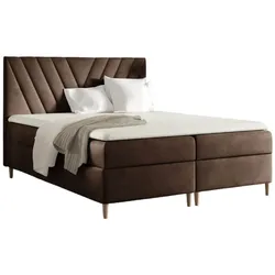 BOXBETT Espen
