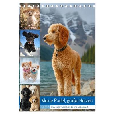 Kleine Pudel, große Herzen (Tischkalender 2027 DIN A5 hoch), CALVENDO Monatskalender