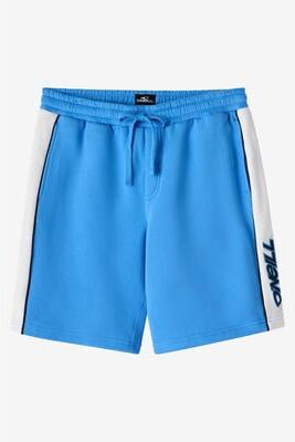 O'Neill s Why 2K Shorts in Blue, Size Medium, Polyester