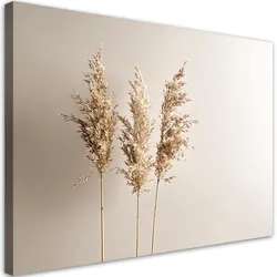 LEINWANDBILD Pampasgraspflanzen Natur Beige 90x60cm