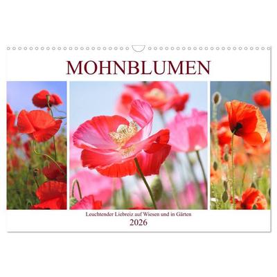 Mohnblumen. Leuchtender Liebreiz auf Wiesen und in Gärten (Wandkalender 2026 DIN A3 quer), CALVENDO Monatskalender