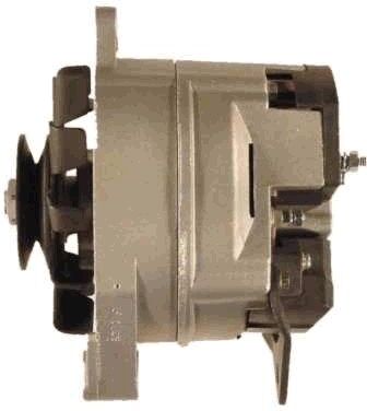 Redfair Generator Rf36841g Für Citroën/peugeot Citroën