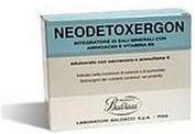 LABORATORI BALDACCI SpA Neodetoxergon, 20 bustine