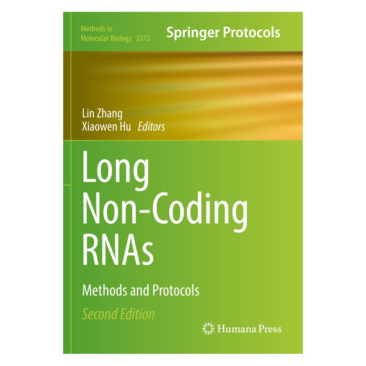 Springer Long Non-Coding RNAs (Englisch, Softcover, Lin Zhang, Xiaowen Hu) (56876452)