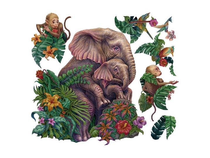 Wallfluent Wandaufkleber 80x101cm - Tropische Safari, Mehrfarbig, Kunststoff, Rechteckig, 80x101x0.1 cm, Tapeten & Wandverkleidungen, Wandtattoos & Sticker, Wandtattoos