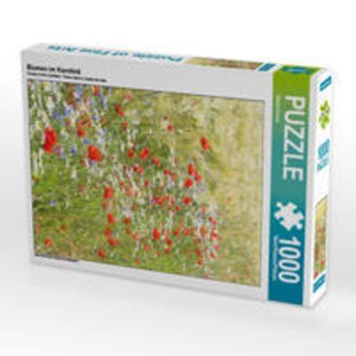 CALVENDO Puzzle Blumen im Kornfeld 1000 Teile Lege-Größe 48 x 64 cm Foto-Puzzle Bild von Gisela Kruse