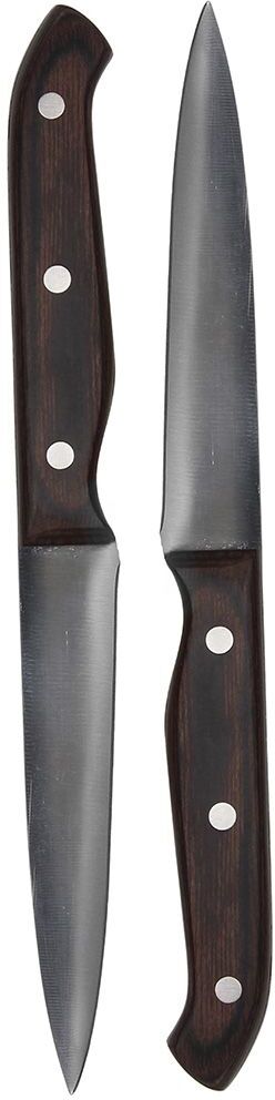 Tognana Set 2 coltello bistecca 24 cm Living