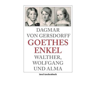 Goethes Enkel, Taschenbuch von Dagmar Gersdorff, Insel