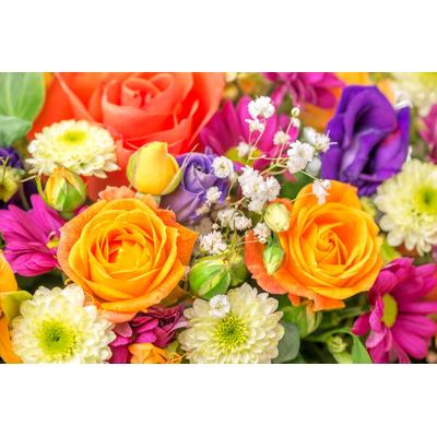 Fototapete PAPERMOON "Chrysanthemenrosen", bunt, B:3m L:2,23m, Vlies, Tapeten