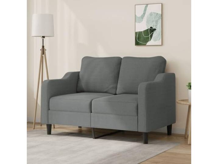HEFZGDB 2-Sitzer Sofa Dunkelgrau 120 cm Stoff Polstergarnitur mit strapazierfähigem Bezug und robustem Metallgestell für langlebige Stabilität, atmungsaktive Sitzflächen mit dickem