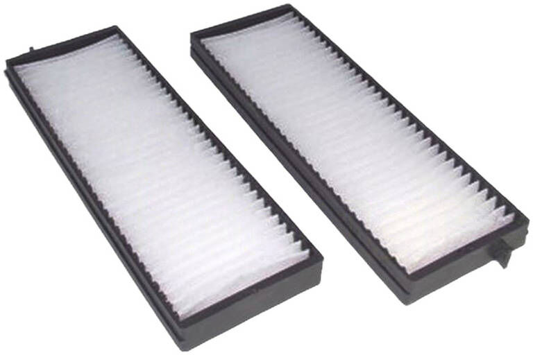 DELPHI TSP0325341 Pollen filter
