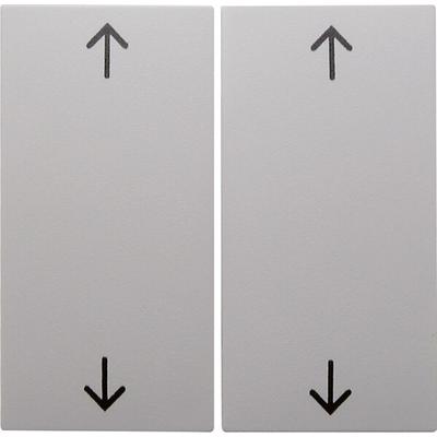 Berker Wippe pws/gl 16448989