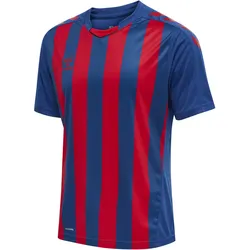 hummel Core XK Striped gestreiftes Trikot Herren true blue/true red XL