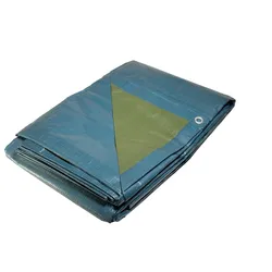 Univers Du Pro Plastikplane 4 x 5 m Blau und Grün Polyethylen 150g/m2
