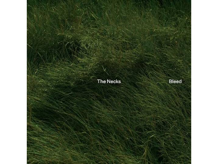 Bleed
