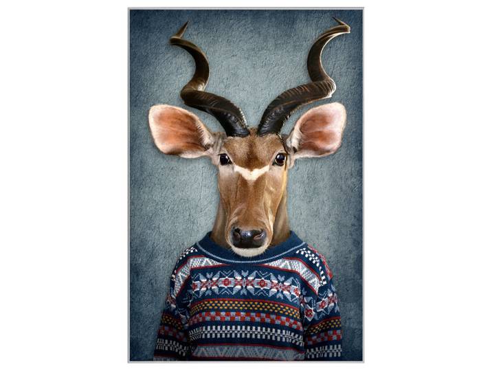 Bild mit Rahmen Antilope mit Pulli image LAND