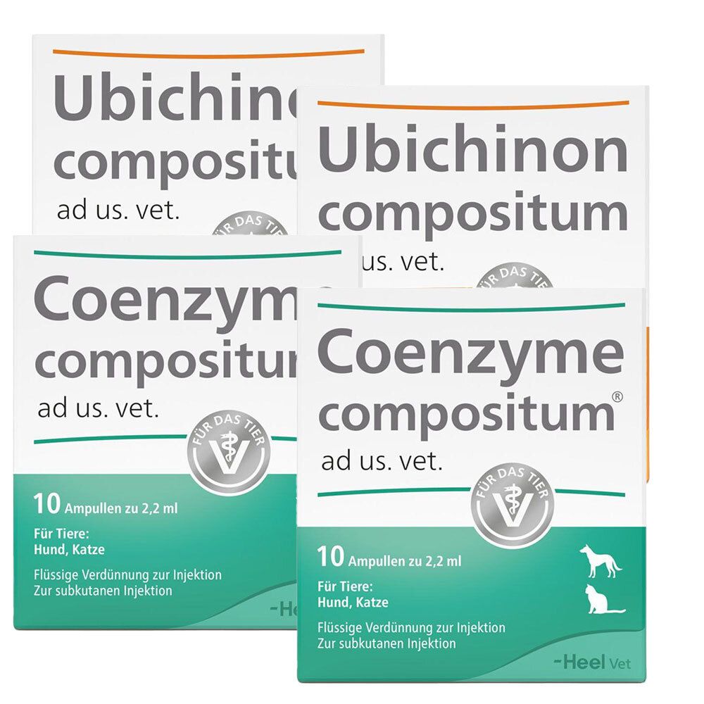 Solidago compositum ad us. vet. Ampullen + Ubichinon Coe 3x2x10 St