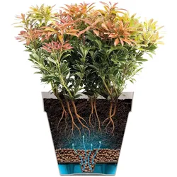 Elho, Blumentopf, Blumentöpfe (50 x 44.50 cm)