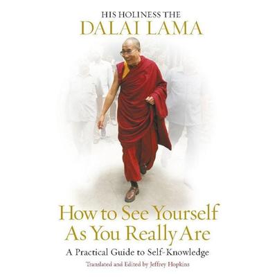 How to See Yourself As You Really Are, Taschenbuch von His Holiness the Dalai Lama, Vermilion, 978-1-84604-040-5