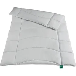 f.a.n. Frankenstolz Bettdecke Leicht-Steppbett Alea by fan 155x220 cm