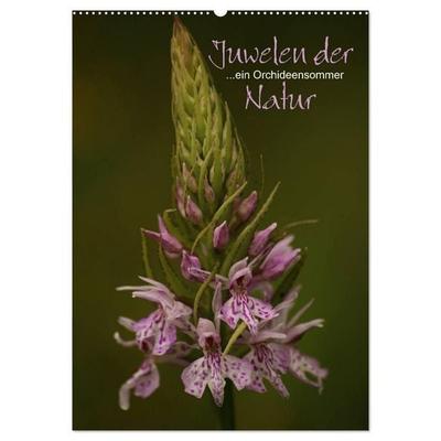 Juwelen der Natur - Ein Orchideensommer (Wandkalender 2027 DIN A2 hoch), CALVENDO Monatskalender