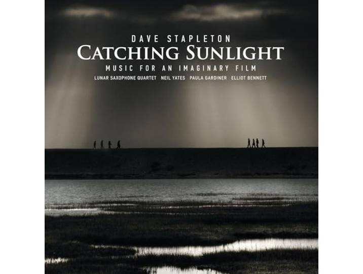 Catching Sunlight