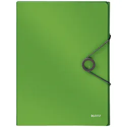 LEITZ Heftbox 2.5 cm DIN A4 hellgrün