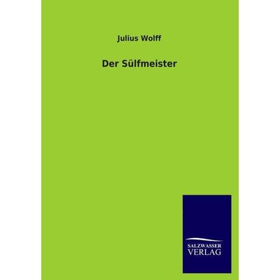 Der Sülfmeister, Taschenbuch von Julius Wolff, Salzwasser, 978-3-8460-3315-9