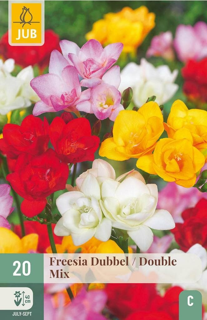 Jub Freesia dubbel mix 20 bollen
