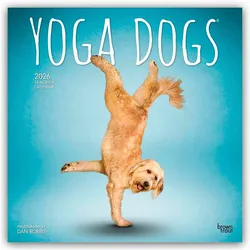 Flechsig, Kalender, Yoga Dogs - Hunde Yoga 2026 - 16-Monatskalender