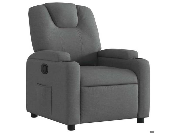 Remise Fauteuil Adulte - Gris - Fauteuil inclinable - 110 kg par siège - Poche latérale - en tissu - gris foncé_mwj77j