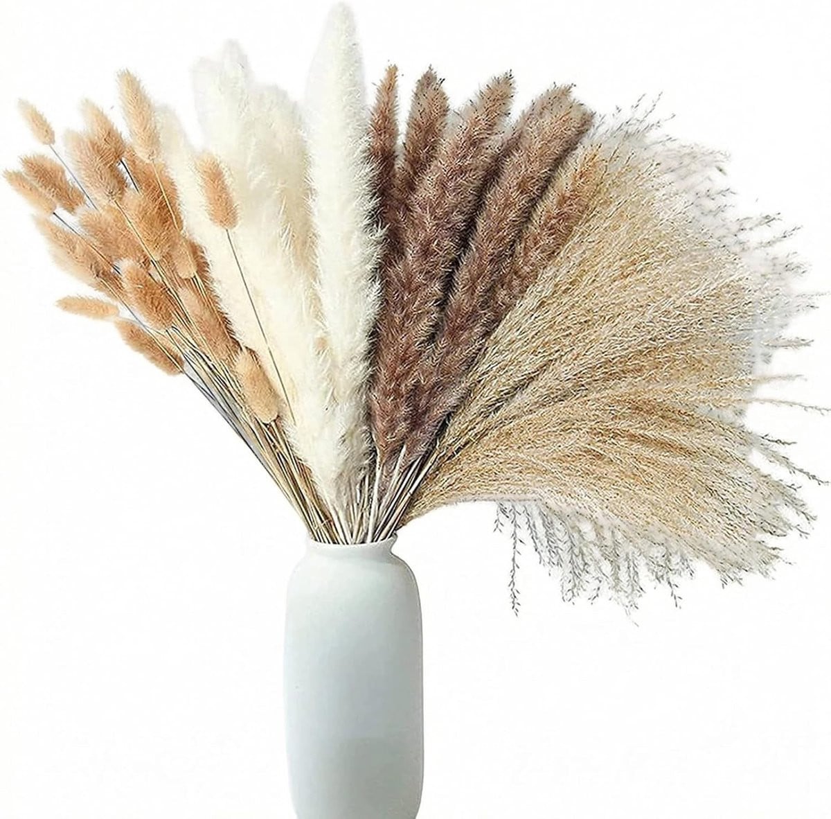 100 stuks Natuurlijke Gedroogde Pampasbloemen XXL voor Bohemian Interieurdecoratie