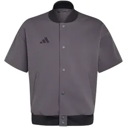 adidas DBB Deutschland Basketball Travel kurzarm Trainingsjacke 2026 Herren grey six S