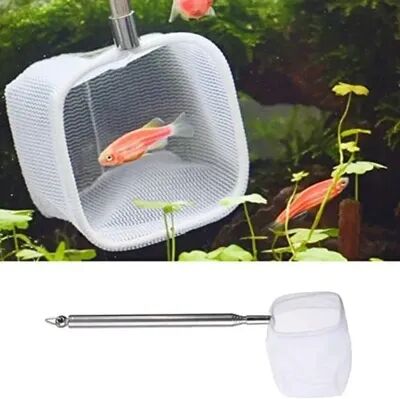 The Handy Homestead Extendable Telescopic Fish Net With Stainless Steel Handle For Aquarium And Shrimp Care Extendable Telescopic Fish Net With Stainless Steel Handle For Aquarium And Shrimp Care