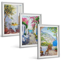 BILDER SET 3er Set - 40x60 cm Silberner Rahmen - Charmante Straßen, Pflanzen, Meer