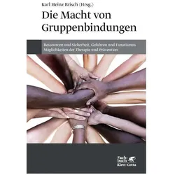 Die Macht von Gruppenbindungen, Fachbücher von Karl Heinz Brisch