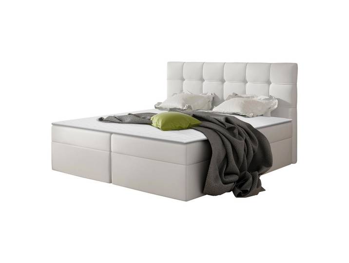 BOXBETT Nele - H3