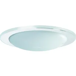Ridi-Leuchten Kunstglas mit Dekorring DR235-HO-K-D-W