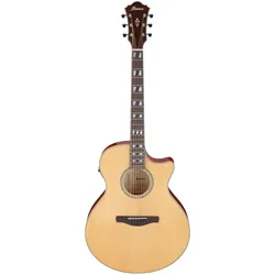 Ibanez AE170-NTR Natural High Gloss Top Red Back & Sides - Westerngitarre