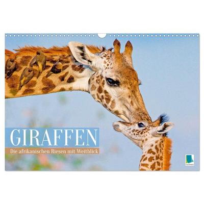 Giraffen: Die afrikanischen Riesen mit Weitblick (Wandkalender 2026 DIN A3 quer), CALVENDO Monatskalender