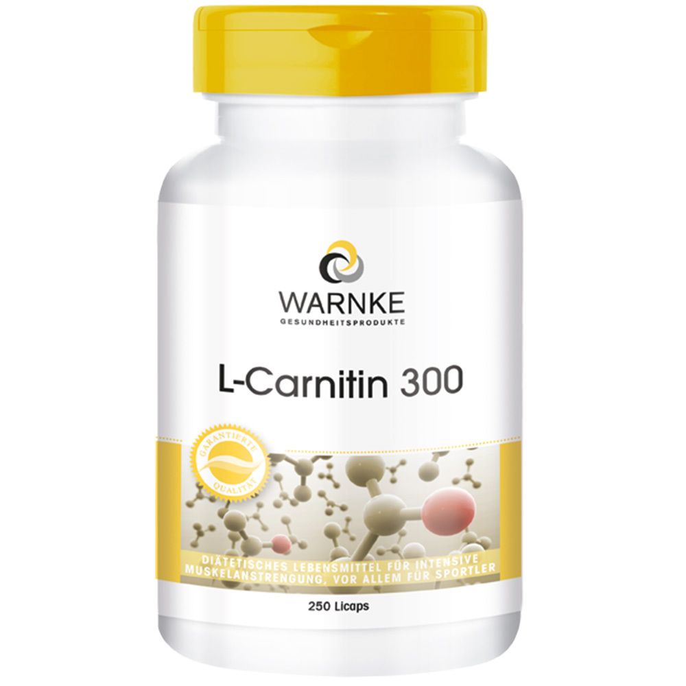 L-Carnitin 300 Kapseln 100 St