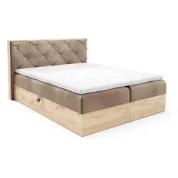 BOXBETT Helios